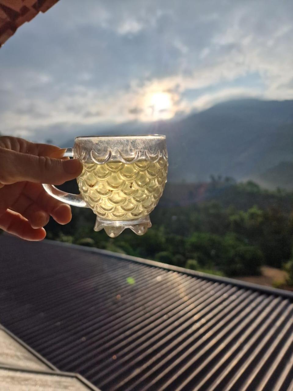 Farm Co Chu Tuan Ha Bed & Breakfast ดาลัด ภายนอก รูปภาพ
