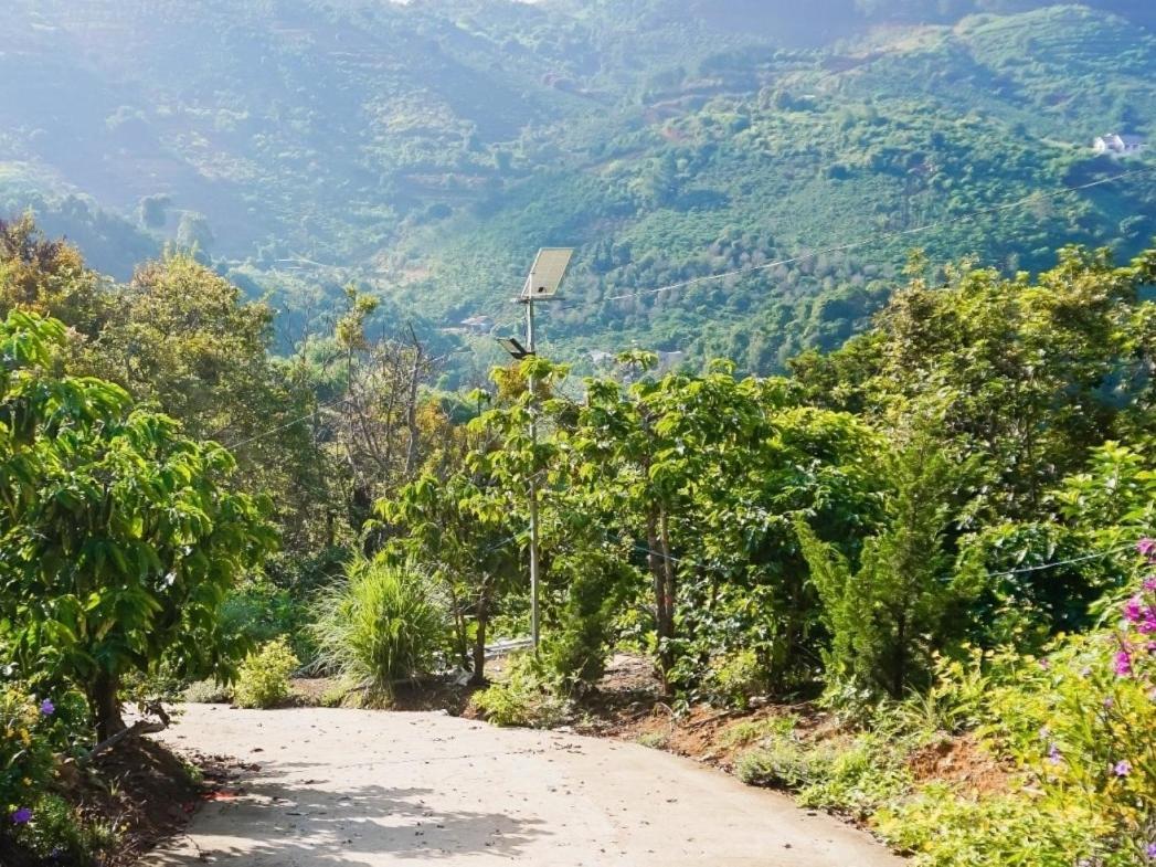 Farm Co Chu Tuan Ha Bed & Breakfast ดาลัด ภายนอก รูปภาพ