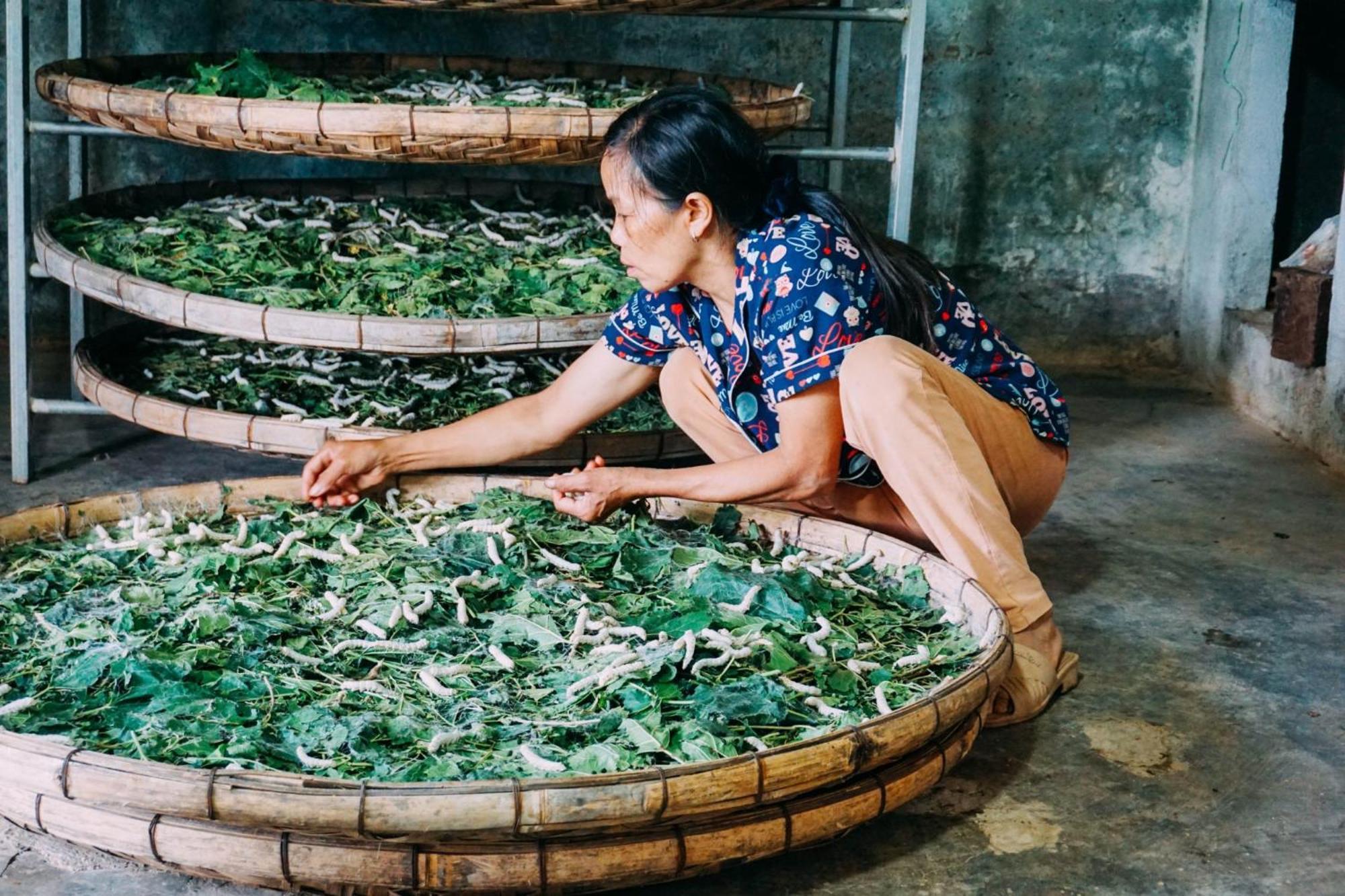 Farm Co Chu Tuan Ha Bed & Breakfast ดาลัด ภายนอก รูปภาพ