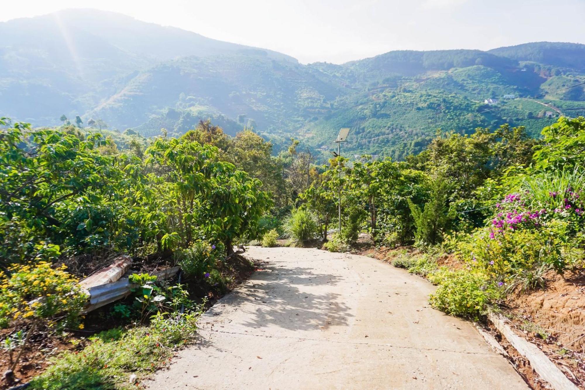 Farm Co Chu Tuan Ha Bed & Breakfast ดาลัด ภายนอก รูปภาพ